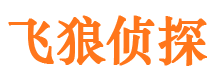 清原市婚姻调查